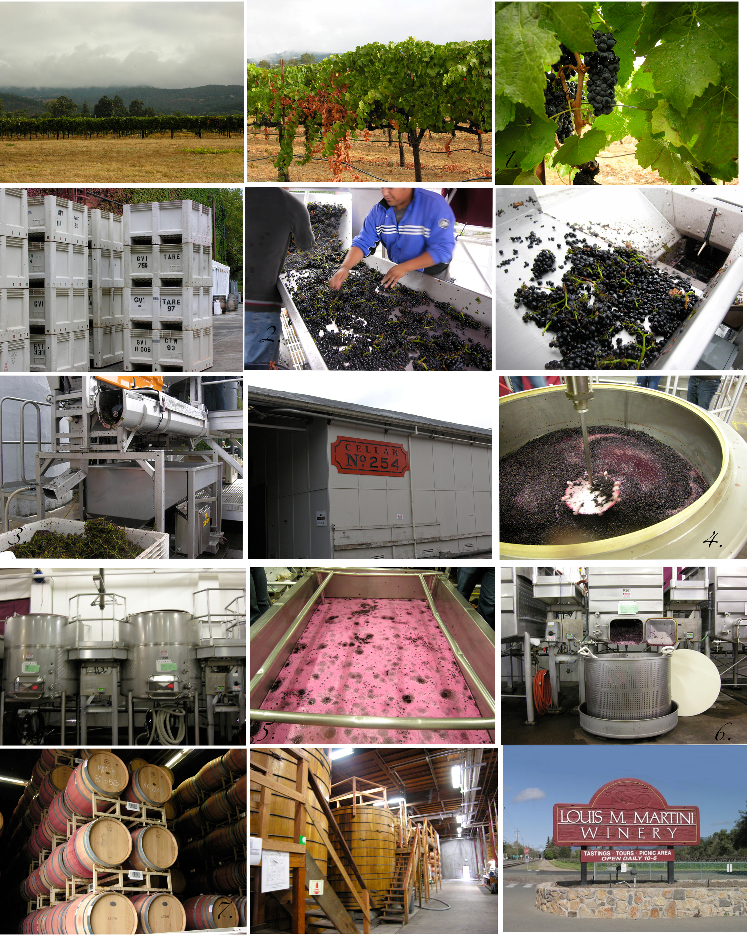 winetour copy