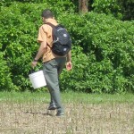 IMG_0333 IMG_0333