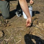 IMG_0340 IMG_0340