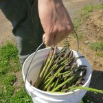 IMG_0350 IMG_0350