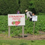 IMG_0359 IMG_0359