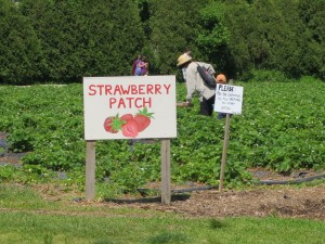 IMG_0359