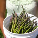 IMG_0361 IMG_0361