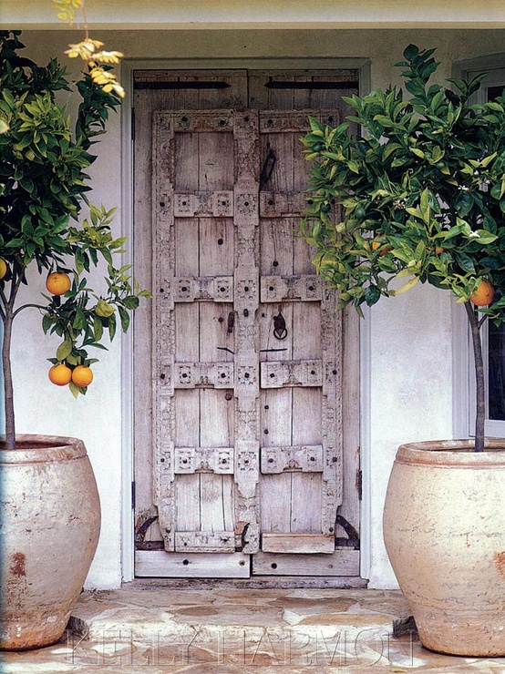 orange tree door